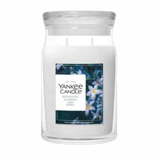 Yankee Candle Midnight Jasmine Signature Large Jar with jasmine flowers on the label